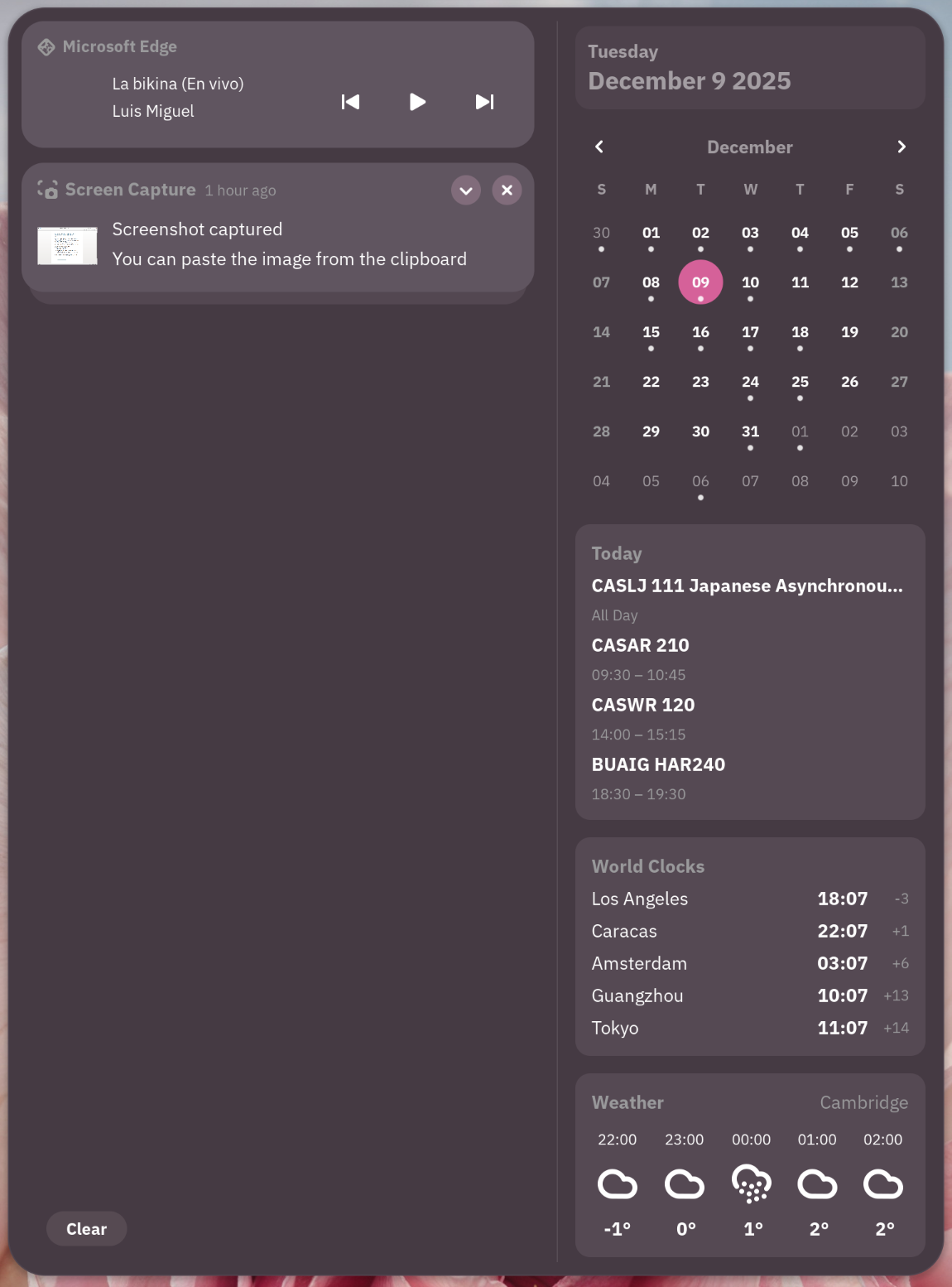 Tinted Shell Demonstration